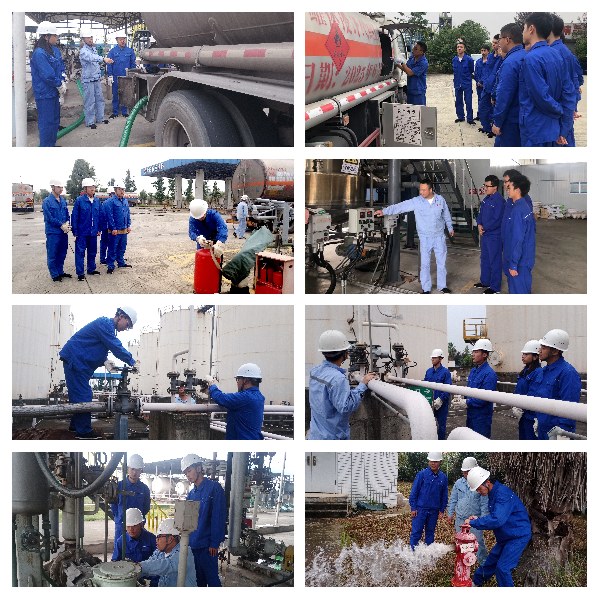 1698832173401977.jpg 005.jpg